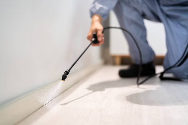 Licensed Pest Control service in Tyndall, SD - Show Me Pest Control