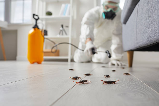 Commercial Kitchen Cockroach Control in Tyndall
